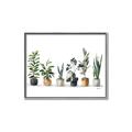 Picture of Pots with plants _GroupedProduct_Rectangle_Landscape_Canvas_Framed_