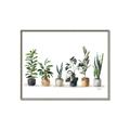 Picture of Pots with plants _GroupedProduct_Rectangle_Landscape_Canvas_Framed_