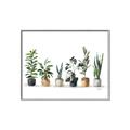 Picture of Pots with plants _GroupedProduct_Rectangle_Landscape_Canvas_Framed_