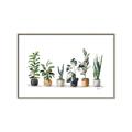 Picture of Pots with plants _GroupedProduct_Rectangle_Landscape_Canvas_Framed_