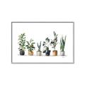 Picture of Pots with plants _GroupedProduct_Rectangle_Landscape_Canvas_Framed_