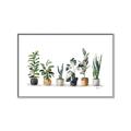 Picture of Pots with plants _GroupedProduct_Rectangle_Landscape_Canvas_Framed_