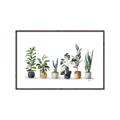 Picture of Pots with plants _GroupedProduct_Rectangle_Landscape_Canvas_Framed_
