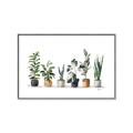 Picture of Pots with plants _GroupedProduct_Rectangle_Landscape_Canvas_Framed_