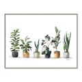 Picture of Pots with plants _GroupedProduct_Rectangle_Landscape_Canvas_Framed_