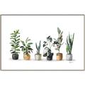Picture of Pots with plants _GroupedProduct_Rectangle_Landscape_Canvas_Framed_