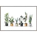 Picture of Pots with plants _GroupedProduct_Rectangle_Landscape_Canvas_Framed_