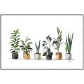 Picture of Pots with plants _GroupedProduct_Rectangle_Landscape_Canvas_Framed_