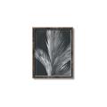 Picture of Pinneedles I _GroupedProduct_Rectangle_Portrait_Canvas_Framed_