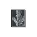 Picture of Pinneedles I _GroupedProduct_Rectangle_Portrait_Canvas_Framed_