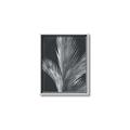 Picture of Pinneedles I _GroupedProduct_Rectangle_Portrait_Canvas_Framed_