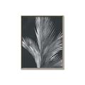 Picture of Pinneedles I _GroupedProduct_Rectangle_Portrait_Canvas_Framed_