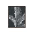 Picture of Pinneedles I _GroupedProduct_Rectangle_Portrait_Canvas_Framed_