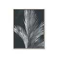Picture of Pinneedles I _GroupedProduct_Rectangle_Portrait_Canvas_Framed_