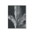 Picture of Pinneedles I _GroupedProduct_Rectangle_Portrait_Canvas_Framed_