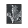 Picture of Pinneedles I _GroupedProduct_Rectangle_Portrait_Canvas_Framed_