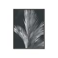 Picture of Pinneedles I _GroupedProduct_Rectangle_Portrait_Canvas_Framed_