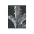 Picture of Pinneedles I _GroupedProduct_Rectangle_Portrait_Canvas_Framed_