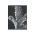 Picture of Pinneedles I _GroupedProduct_Rectangle_Portrait_Canvas_Framed_