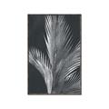 Picture of Pinneedles I _GroupedProduct_Rectangle_Portrait_Canvas_Framed_