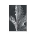 Picture of Pinneedles I _GroupedProduct_Rectangle_Portrait_Canvas_Framed_
