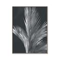 Picture of Pinneedles I _GroupedProduct_Rectangle_Portrait_Canvas_Framed_