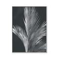 Picture of Pinneedles I _GroupedProduct_Rectangle_Portrait_Canvas_Framed_