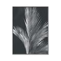 Picture of Pinneedles I _GroupedProduct_Rectangle_Portrait_Canvas_Framed_