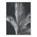 Picture of Pinneedles I _GroupedProduct_Rectangle_Portrait_Canvas_Framed_