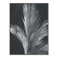 Picture of Pinneedles I _GroupedProduct_Rectangle_Portrait_Canvas_Framed_