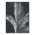 Picture of Pinneedles I _GroupedProduct_Rectangle_Portrait_Canvas_Framed_