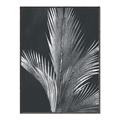 Picture of Pinneedles I _GroupedProduct_Rectangle_Portrait_Canvas_Framed_