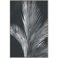 Picture of Pinneedles I _GroupedProduct_Rectangle_Portrait_Canvas_Framed_