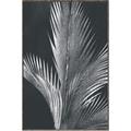 Picture of Pinneedles I _GroupedProduct_Rectangle_Portrait_Canvas_Framed_