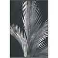 Picture of Pinneedles I _GroupedProduct_Rectangle_Portrait_Canvas_Framed_