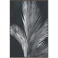 Picture of Pinneedles I _GroupedProduct_Rectangle_Portrait_Canvas_Framed_