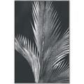 Picture of Pinneedles I _GroupedProduct_Rectangle_Portrait_Canvas_Framed_