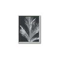 Picture of Pinneedles II _GroupedProduct_Rectangle_Portrait_Canvas_Framed_