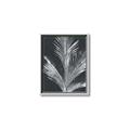 Picture of Pinneedles II _GroupedProduct_Rectangle_Portrait_Canvas_Framed_