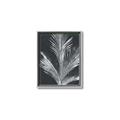 Picture of Pinneedles II _GroupedProduct_Rectangle_Portrait_Canvas_Framed_