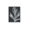Picture of Pinneedles II _GroupedProduct_Rectangle_Portrait_Canvas_Framed_
