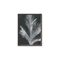 Picture of Pinneedles II _GroupedProduct_Rectangle_Portrait_Canvas_Framed_