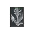 Picture of Pinneedles II _GroupedProduct_Rectangle_Portrait_Canvas_Framed_
