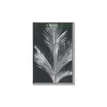 Picture of Pinneedles II _GroupedProduct_Rectangle_Portrait_Canvas_Framed_
