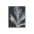 Picture of Pinneedles II _GroupedProduct_Rectangle_Portrait_Canvas_Framed_