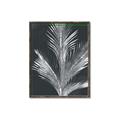 Picture of Pinneedles II _GroupedProduct_Rectangle_Portrait_Canvas_Framed_