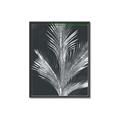 Picture of Pinneedles II _GroupedProduct_Rectangle_Portrait_Canvas_Framed_
