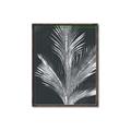 Picture of Pinneedles II _GroupedProduct_Rectangle_Portrait_Canvas_Framed_