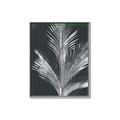 Picture of Pinneedles II _GroupedProduct_Rectangle_Portrait_Canvas_Framed_