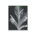 Picture of Pinneedles II _GroupedProduct_Rectangle_Portrait_Canvas_Framed_